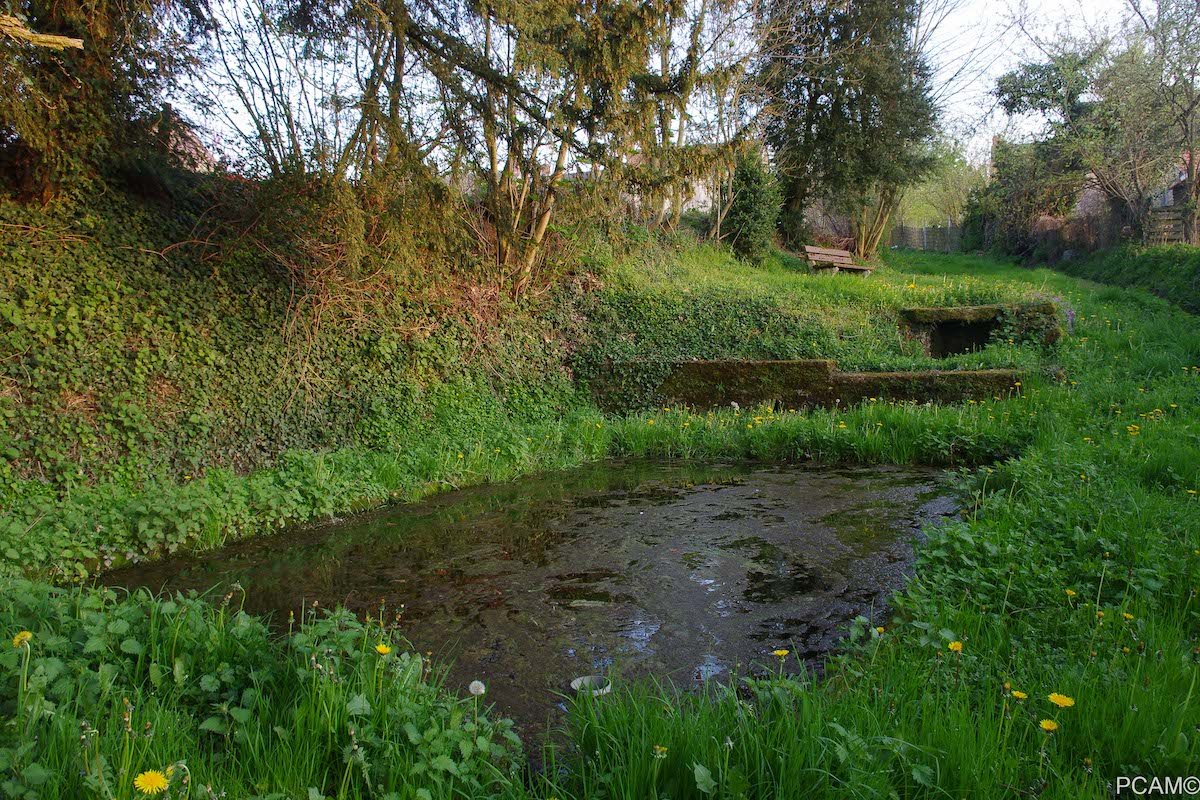 /images/common/galerie/3/galerie/image_0.jpg